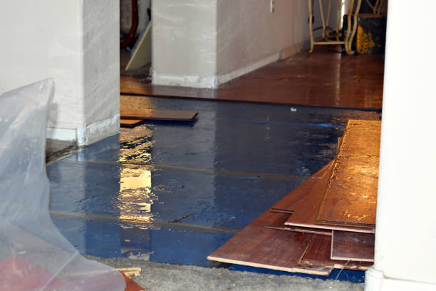 Professional Flood Damage Repair technician working in Princeton, KS